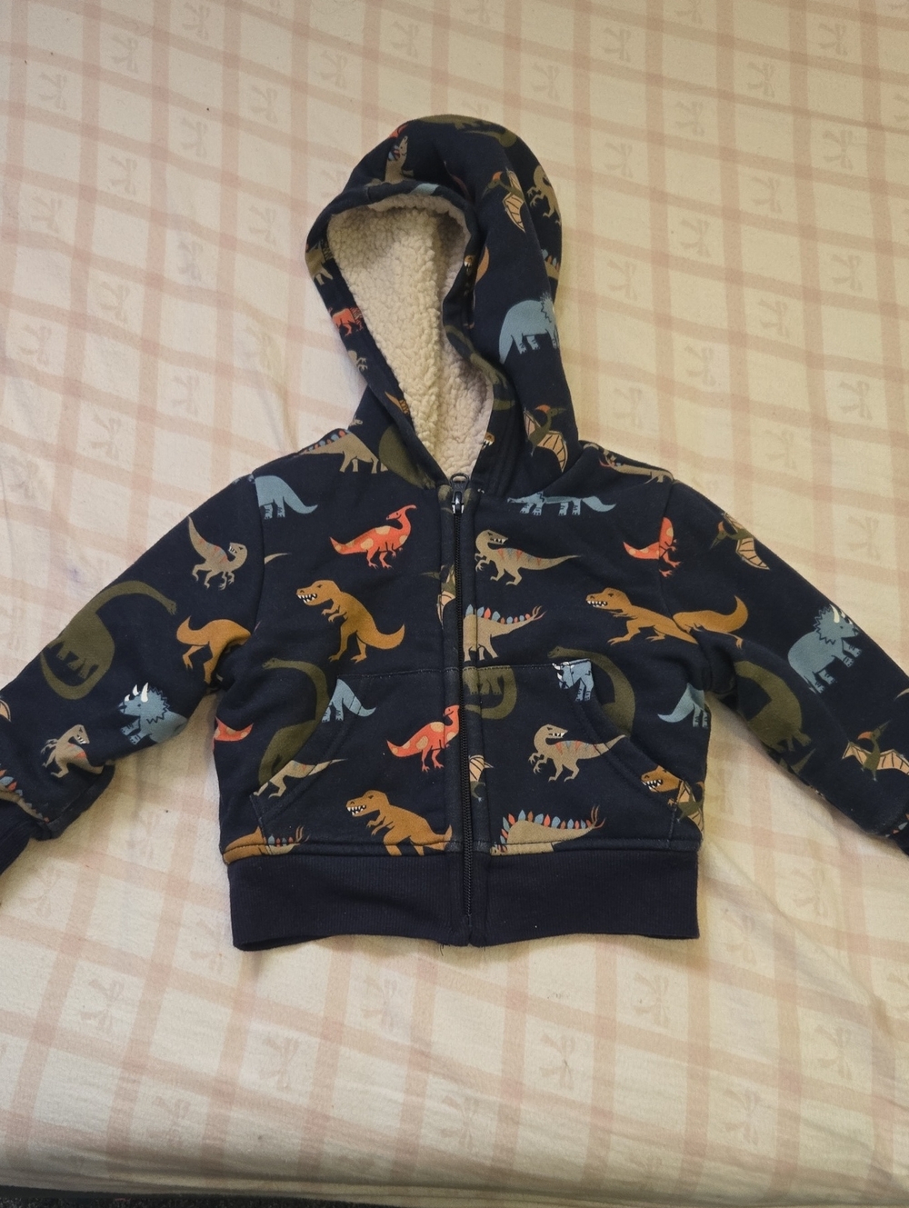 Sets Kids Navy Dinosaur Hooded Zip Jacket